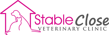 Stable Close Vets Winchester