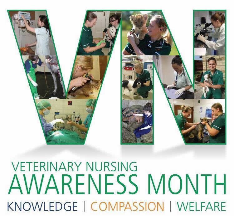 Vet nurse awareness month