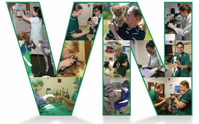 May is Veterinary Nurse Awareness Month