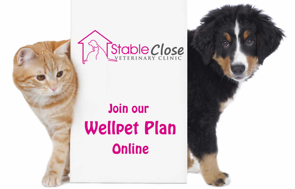 Wellpet Plan